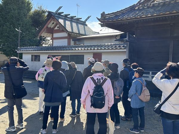 サンプルイメージ