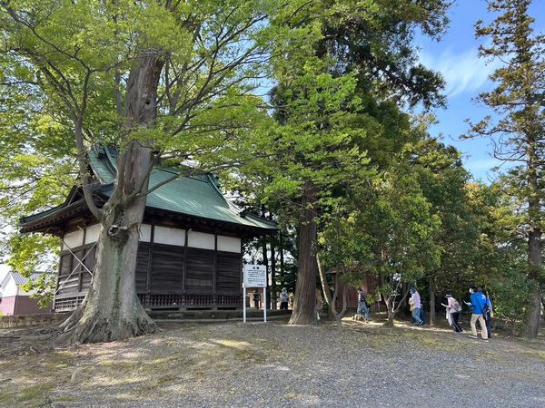 サンプルイメージ